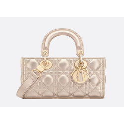 DIOR Lady D-Joy Bag
