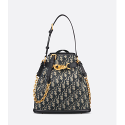 Medium C'est Dior Bag