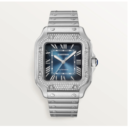 Santos de Cartier watch