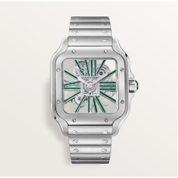 Santos de Cartier skeleton watch