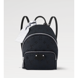 Louis Vuitton Palm Spring Mini