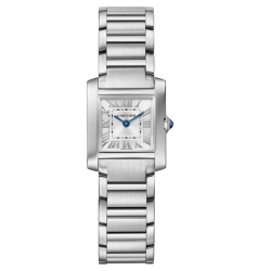 Cartier WSTA0065