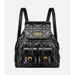 Dior Caro Backpack
