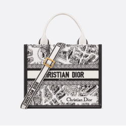 Dior Book Tote