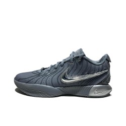 Nike Lebron 21 'Cool Grey'